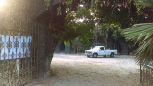 IMG-20170720-WA0058